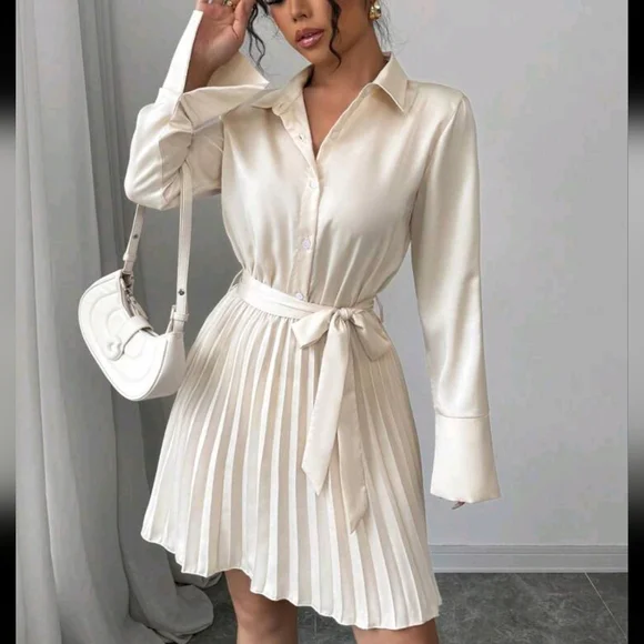 New Long Sleeve Shirt Dress With Pleated Hem Design, Commuting Elegant Stylish - Picture 2 of 4